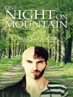 One Night On A Mountain