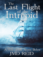 The Last Flight of the Intrepid (A Tale of the Storm Below)