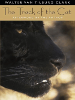 The Track Of The Cat