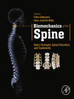 Biomechanics of the Spine: Basic Concepts, Spinal Disorders and Treatments