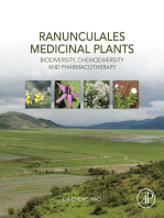 Ranunculales Medicinal Plants: Biodiversity, Chemodiversity and Pharmacotherapy
