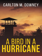 A Bird in a Hurricane