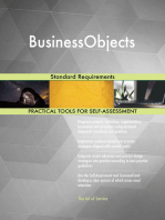 BusinessObjects Standard Requirements