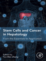 Stem Cells and Cancer in Hepatology: From the Essentials to Application