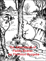 The Adventures of Paddy Beaver, Illustrated