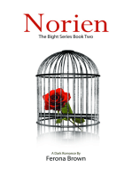 Norien: The Bight Series Book Two