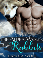 The Alpha Wolf's Baby Rabbits (MM Alpha Omega Fated Mates Mpreg Shifter)