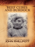 Beef Cubes And Burdock