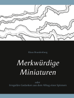 Merkwürdige Miniaturen: oder Irreguläre Gedanken aus dem Alltag eines Spinners