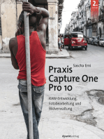 Praxis Capture One Pro 10: RAW-Entwicklung, Fotobearbeitung, Bildverwaltung