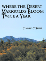Where the Desert Marigolds Bloom Twice a Year