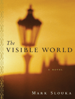 The Visible World: A Novel