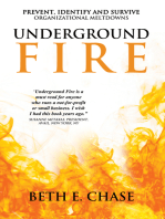 Underground Fire: Prevent, Identify and Survive Organizational Meltdowns