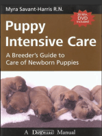PUPPY INTENSIVE CARE: A BREEDER'S GUIDE TO CARE OF NEWBORN PUPPIES
