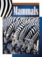 Mammals