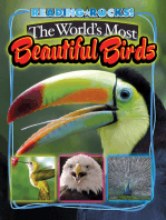 The World's Most Beautiful Birds