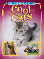 Cool Cats