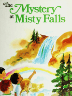 The Mystery at Misty Falls