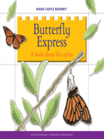 Butterfly Express: A Book about Life Cycles