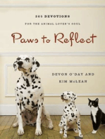 Paws to Reflect