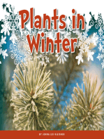 Plants in Winter