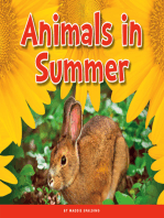 Animals in Summer