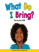 What Do I Bring?: The Sound of BR
