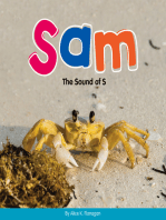 Sam: The Sound of S