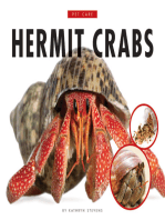 Caring for My Hermit Crab