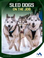 Sled Dogs on the Job