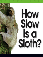 How Slow Is a Sloth?