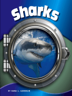 Sharks