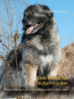 Kein Hund für Stubenhocker: Geschichten über und mit dem Kaukasischen Owtscharka