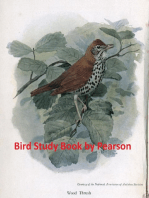 Bird Study Book