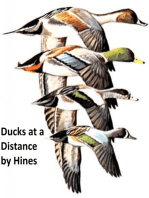 Ducks at a Distance