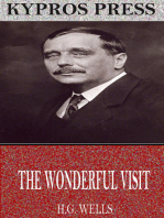 The Wonderful Visit