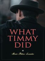 What Timmy Did: Mystery Novel