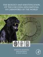 The Biology and Identification of the Coccidia (Apicomplexa) of Carnivores of the World