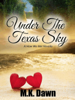 Under the Texas Sky (A How We Met Novella): How We Met, #1