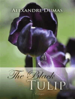 The Black Tulip