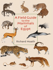 A Field Guide to the Mammals of Egypt by Richard Hoath (Ebook) - Read ...