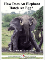 How Does An Elephant Hatch An Egg?