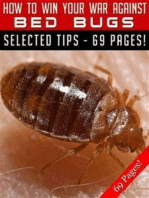 How To Win Your War Against Bed Bugs