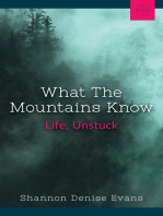 What the Mountains Know: Life, Unstuck