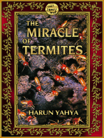 The Miracle of Termites