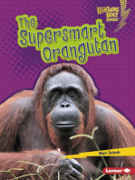 The Supersmart Orangutan
