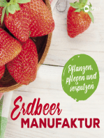 Erdbeer-Manufaktur: Pflanzen, pflegen und verputzen