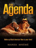 The Agenda: Wake up Black America! Now is your time!