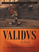 Validvs: A Novel