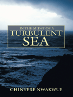 In the Midst of a Turbulent Sea